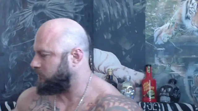 viking 30 online show from May 29, 2026, 6:41 am