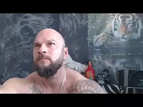 viking 30 online show from April 15, 2026, 10:32 am