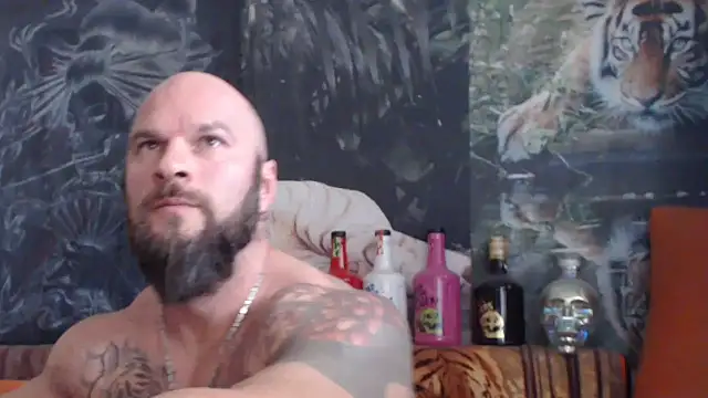 Snapshot of viking_30 chatting on November 4, 2025, 8:07 am viking 30 online show from November 4, 2025, 8:07 am