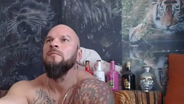 Snapshot of viking_30 chatting on November 5, 2025, 8:17 am viking 30 online show from November 5, 2025, 8:17 am