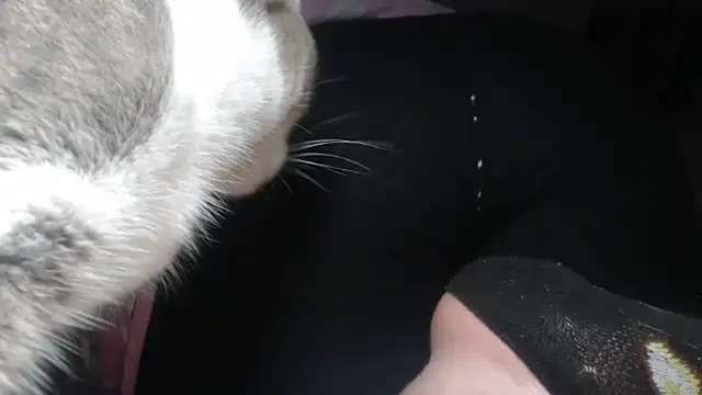 prettyangelsquirt online show from April 14, 2026, 11:43 pm