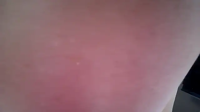 avajade online show from March 13, 2026, 10:53 am