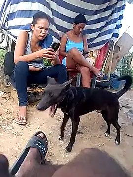 sexicaribe2 online show from November 28, 2025, 7:58 pm