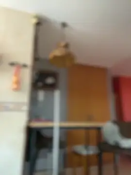 camelia3 online show from March 9, 2026, 10:19 am