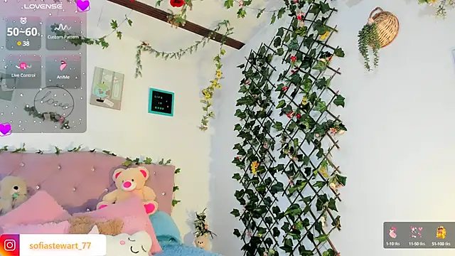 steewart  online show from January 30, 2025, 3:55 am