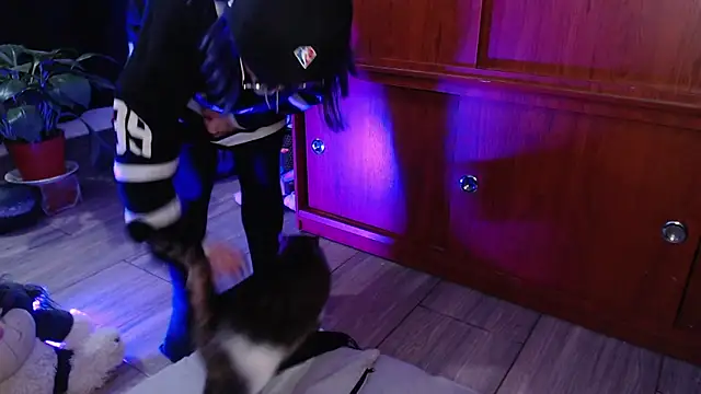 Raventh  online show from February 4, 2026, 3:56 am