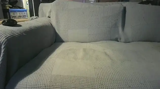 naked bear online show from December 19, 2024, 7:29 pm