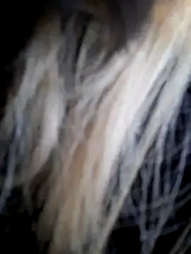 Snapshot of Dirtyfeelin chatting on December 14, 2025, 12:00 pm Dirtyfeelin online show from December 14, 2025, 12:00 pm