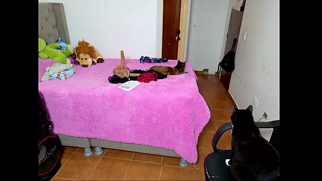 Snapshot of emily_honter chatting on December 14, 2025, 8:47 pm emily honter online show from December 14, 2025, 8:47 pm