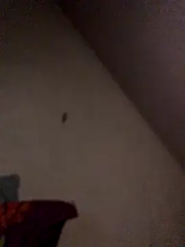 Chris-LE91 online show from September 21, 2025, 1:11 am