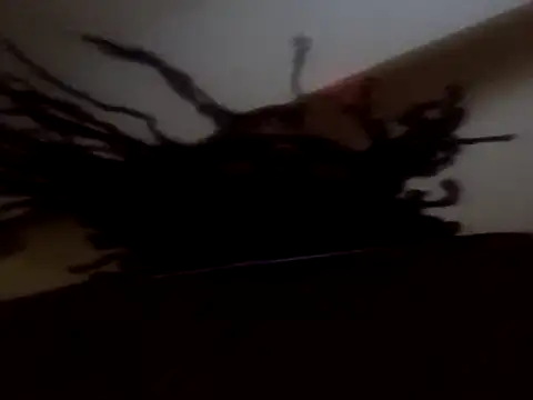 Snapshot of PrinceNoAlbert chatting on September 11, 2025, 12:38 pm PrinceNoAlbert online show from September 11, 2025, 12:38 pm