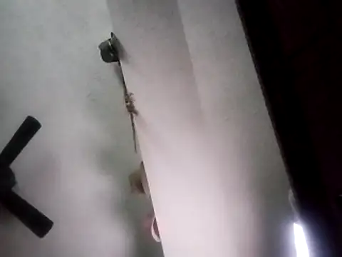 Snapshot of PrinceNoAlbert chatting on November 13, 2025, 10:02 pm PrinceNoAlbert online show from November 13, 2025, 10:02 pm