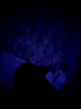 Snapshot of alfiebrown007 chatting on March 2, 2026, 5:19 am alfiebrown007 online show from March 2, 2026, 5:19 am