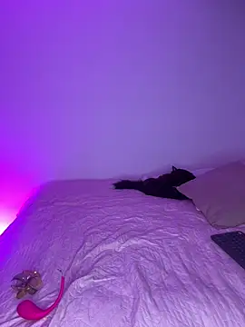 Veronica ar online show from April 10, 2026, 2:40 am