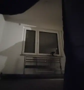 GermanBigDream online show from February 3, 2026, 7:30 pm