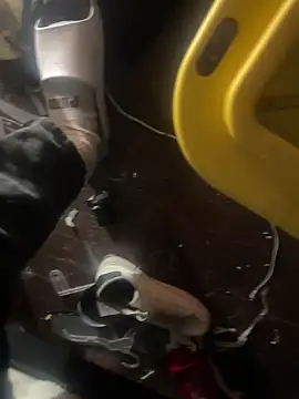 Exclusivenutxxx online show from January 23, 2025, 6:56 pm