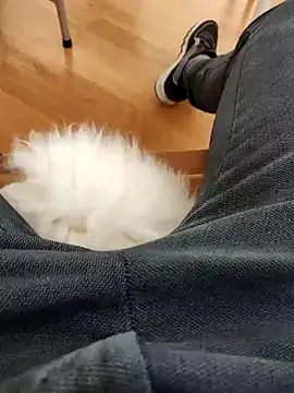 Snapshot of papiculo86 chatting on February 2, 2025, 9:07 am papiculo86 online show from February 2, 2025, 9:07 am