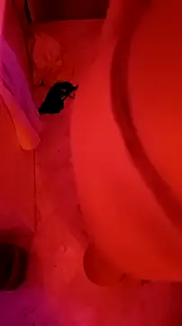 Snapshot of Misspadrona88 chatting on January 23, 2025, 12:57 am Misspadrona88 online show from January 23, 2025, 12:57 am