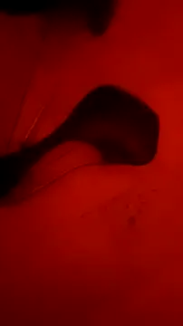 Snapshot of Misspadrona88 chatting on October 5, 2025, 10:55 pm Misspadrona88 online show from October 5, 2025, 10:55 pm