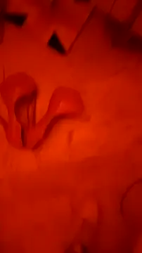 Misspadrona88 online show from February 22, 2026, 3:57 pm