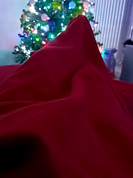 Snapshot of Markus_bst chatting on December 23, 2024, 10:23 pm Markus bst online show from December 23, 2024, 10:23 pm