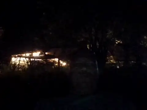 condor08750 online show from November 22, 2025, 2:10 am