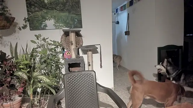 sexnherbs online show from April 21, 2026, 1:53 am