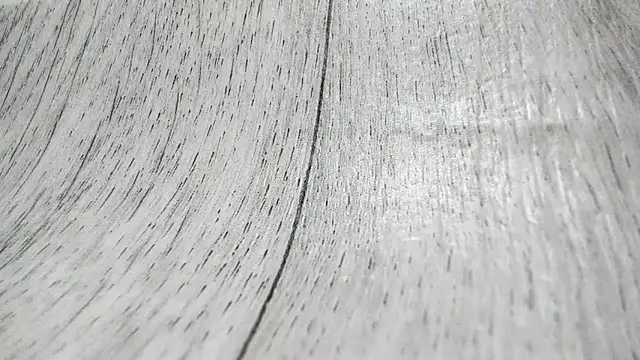 Snapshot of LittleSonya chatting on December 15, 2025, 4:57 pm LittleSonya online show from December 15, 2025, 4:57 pm