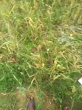 FinableKnee online show from March 29, 2026, 4:14 am