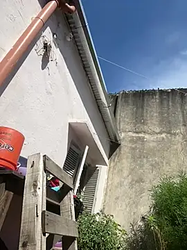 Snapshot of Alicbranca chatting on February 26, 2026, 2:06 pm Alicbranca online show from February 26, 2026, 2:06 pm