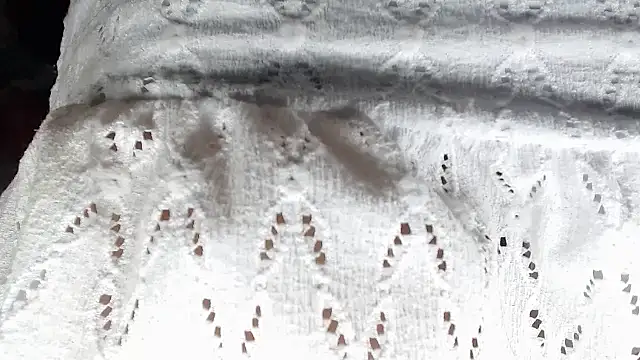 Snapshot of aleera_starxx982 chatting on January 11, 2026, 12:01 pm aleera starxx982 online show from January 11, 2026, 12:01 pm