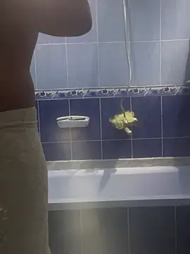 Snapshot of Arabien_Pharaoh- chatting on March 20, 2025, 5:58 pm Arabien Pharaoh- online show from March 20, 2025, 5:58 pm