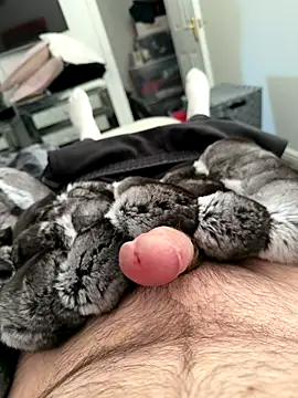 Snapshot of Furdale chatting on September 25, 2025, 4:57 pm Furdale online show from September 25, 2025, 4:57 pm