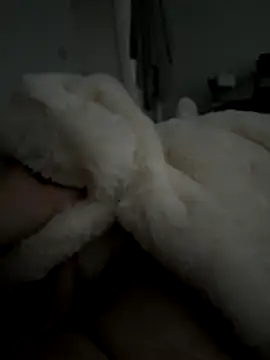 Furdale online show from November 5, 2025, 2:53 pm