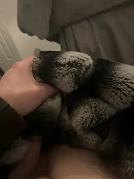 Snapshot of Furdale chatting on January 7, 2025, 5:20 pm Furdale online show from January 7, 2025, 5:20 pm