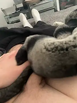 Snapshot of Furdale chatting on February 26, 2025, 12:49 pm Furdale online show from February 26, 2025, 12:49 pm