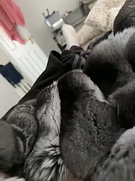 Snapshot of Furdale chatting on February 28, 2026, 2:06 pm Furdale online show from February 28, 2026, 2:06 pm