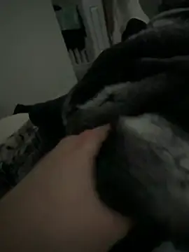 Snapshot of Furdale chatting on February 2, 2026, 2:49 pm Furdale online show from February 2, 2026, 2:49 pm