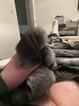 Snapshot of Furdale chatting on February 12, 2026, 7:13 pm Furdale online show from February 12, 2026, 7:13 pm