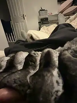 Snapshot of Furdale chatting on February 6, 2026, 6:48 pm Furdale online show from February 6, 2026, 6:48 pm