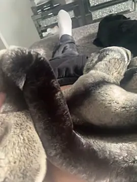 Snapshot of Furdale chatting on February 22, 2025, 1:24 pm Furdale online show from February 22, 2025, 1:24 pm