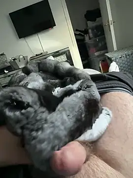 Snapshot of Furdale chatting on September 19, 2025, 5:17 pm Furdale online show from September 19, 2025, 5:17 pm