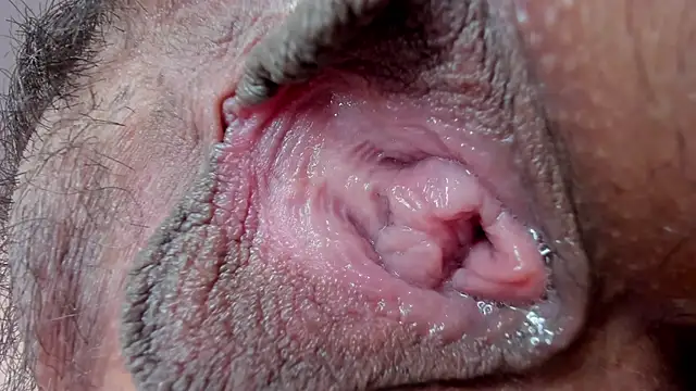 ms pickless online show from January 27, 2025, 3:18 pm