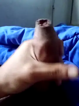 rodovlaz online show from April 2, 2026, 11:06 am