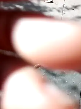 rodovlaz online show from March 30, 2026, 2:18 pm