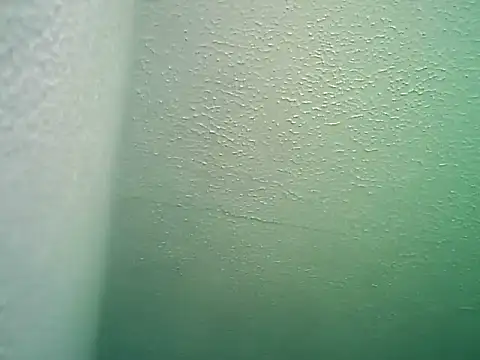 Snapshot of SexDiffrent chatting on February 27, 2026, 1:55 pm SexDiffrent online show from February 27, 2026, 1:55 pm