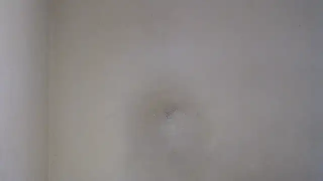 Snapshot of AlexNudo chatting on February 26, 2025, 12:05 pm AlexNudo online show from February 26, 2025, 12:05 pm