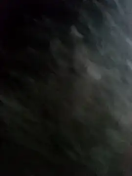 22orlando online show from November 19, 2025, 5:24 pm