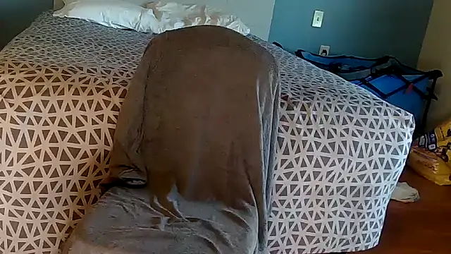 Snapshot of bobbiebone1@xh chatting on June 11, 2026, 1:19 pm bobbiebone1xh online show from June 11, 2026, 1:19 pm