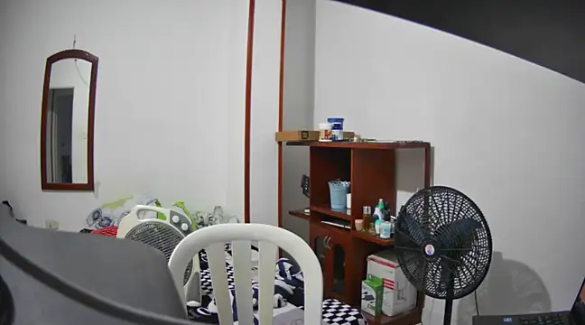 lechero226 online show from February 4, 2025, 10:55 pm